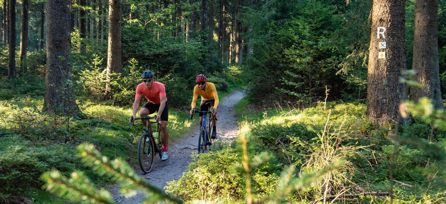 Zwei Radfahrer mit Gravelbike auf einem Trail am Rennsteig im Thüringer Wald